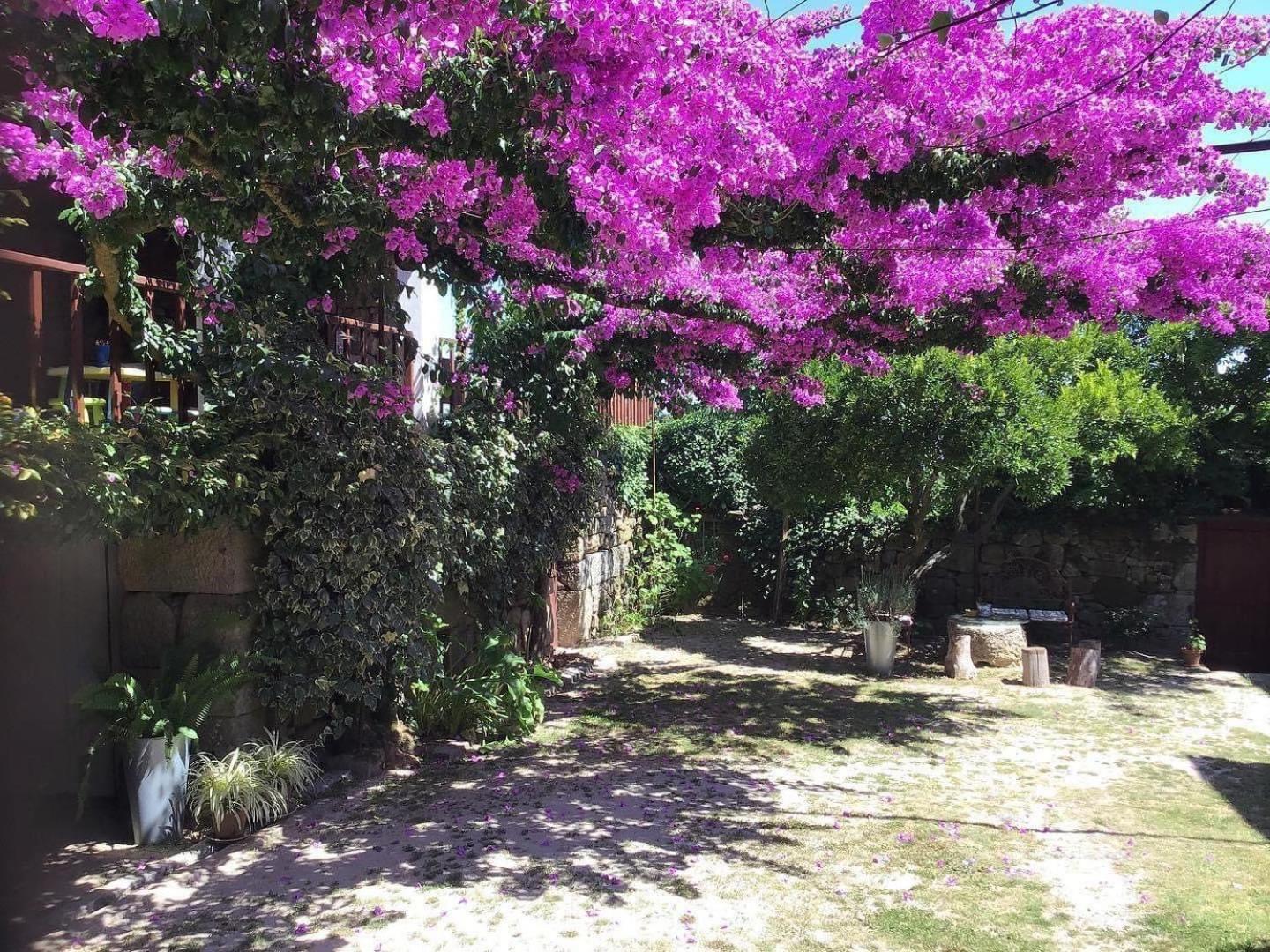 Ferienwohnung Casa De Cerqueda Celorico De Basto Exterior foto
