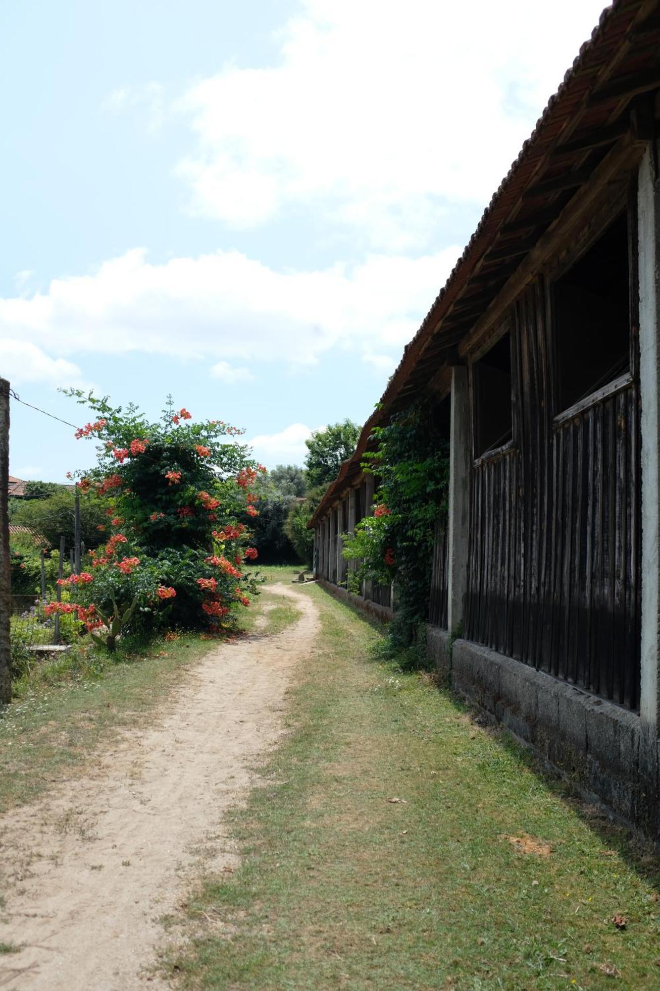 Ferienwohnung Casa De Cerqueda Celorico De Basto Exterior foto