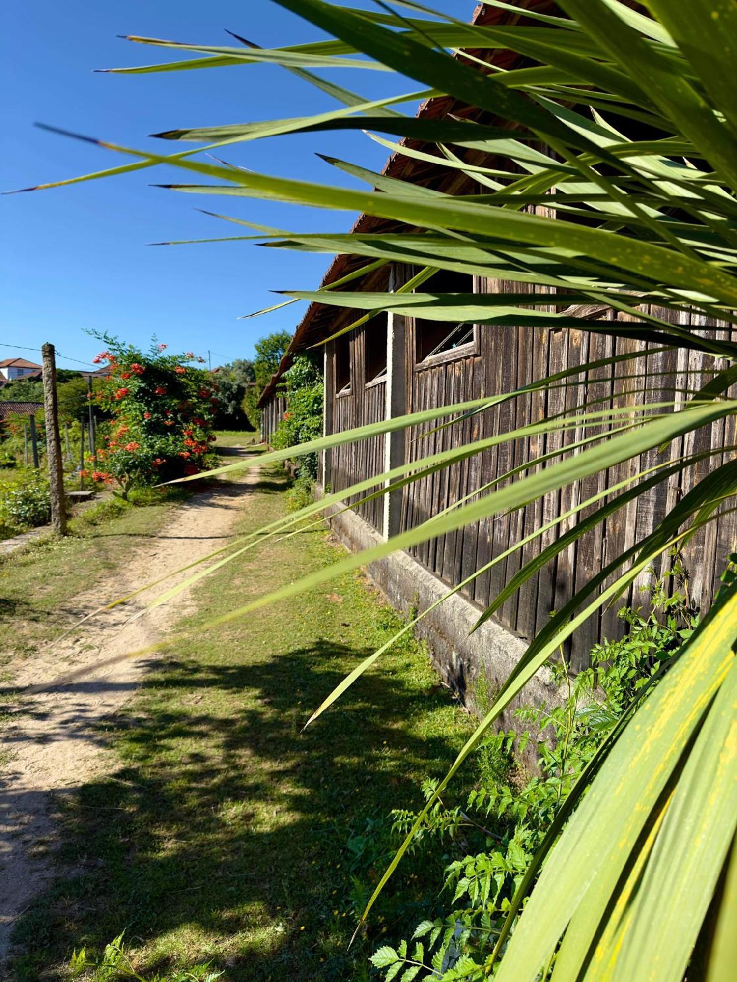 Ferienwohnung Casa De Cerqueda Celorico De Basto Exterior foto